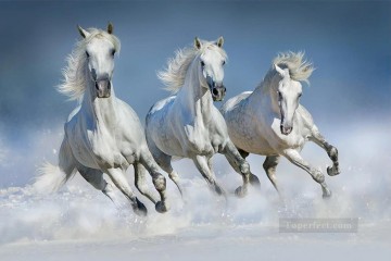 リアルな写真から Painting - 写真から現実的な灰色の馬を実行しています。